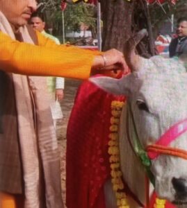 Dhenu in the Vedas
